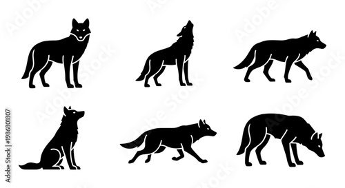 Black wolf silhouette vector set, wild forest predator icons in various poses, howling and running timber wolf collection for nature logos