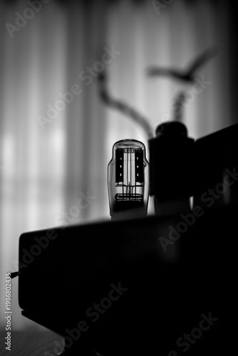 фотографія Vacuum tube silhouette in a handmade High-End Tube Amplifier