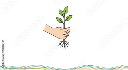 Hand holding a small green plant sprout with visible roots represents ecology, growth, and environmental protection concepts.