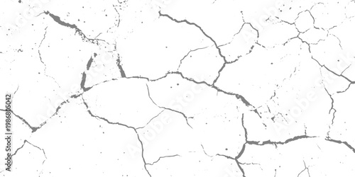 White cracked surface texture, abstract background, fine fracture lines, high contrast, minimalistic style vector illustration.