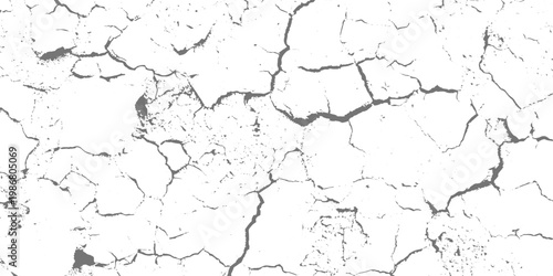 White cracked surface texture, abstract background, fine fracture lines, high contrast, minimalistic style vector illustration.