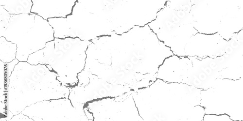 White cracked surface texture, abstract background, fine fracture lines, high contrast, minimalistic style vector illustration.