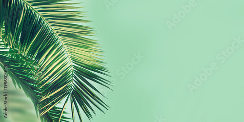 Fotografia Close-up of vibrant palm frond with intricate, fan-like patterns, set against soft mint green background
