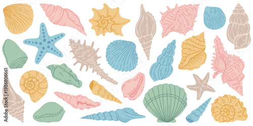 Flat vector set cartoon illustration of colorful sea shells in various shapes and patterns. For summer, marine, vacation, beach, card, sea, ocean design. Isolated white background.