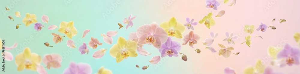 Fototapeta premium Floating Orchids in Pastel Dream 