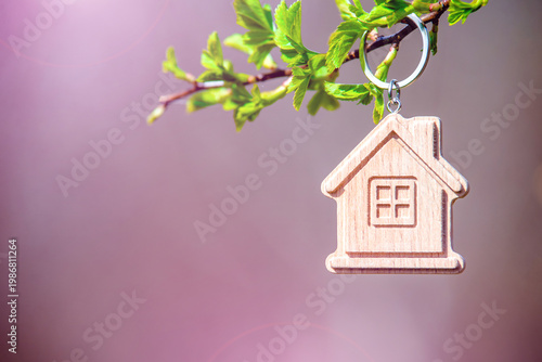 Wallpaper Mural The symbol of a house on a budding tree branch Torontodigital.ca