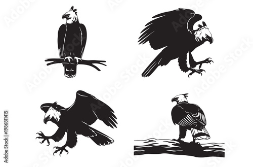 Harpy eagle bird of prey silhouettes showing perched and landing poses for falconry labels mountain wildlife illustrations or raptor conservation graphics on transparent background art
