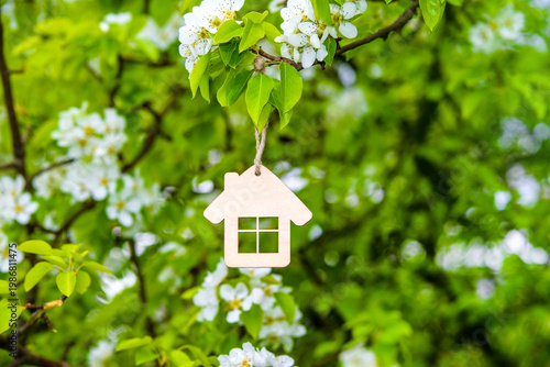 Wallpaper Mural The symbol of the house among the branches of the pear
 Torontodigital.ca