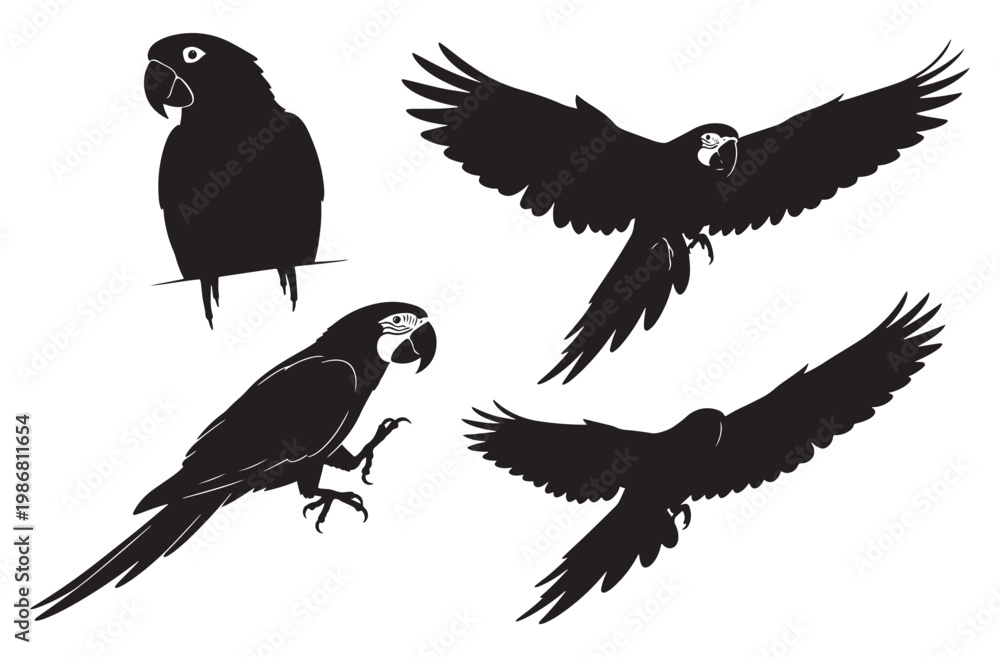 Obraz premium Macaw parrot silhouette collection with flying and perched tropical birds black bird outlines set isolated on transparent background for exotic jungle nature wildlife design project