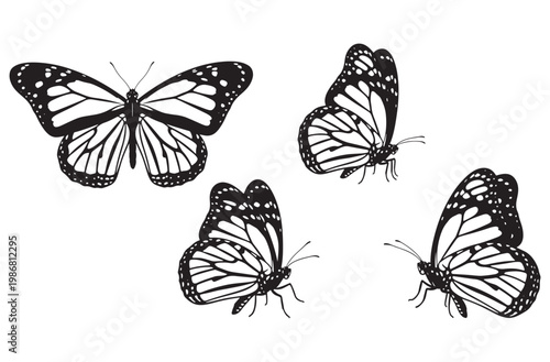 Set of black and white silhouettes of monarch butterflies, in various flight poses, with outstretched wings, graphic illustration of insects