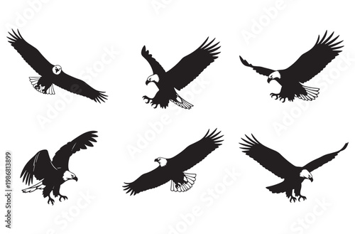 Bald eagle flight silhouettes showing multiple phases of soaring and hunting with predatory bird wing spans and talons extended for majestic wilderness themed vector graphic projects