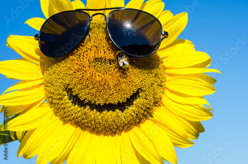 Fabulous landscape of sunflower with and face with a smile and sunglasses against the blue sky (optimism, joy, happiness, enthusiasm, ANTI-CRISIS, antidepressant - concept)
