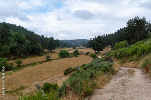 GR65 pilgrim trail crossing the Aubrac plateau, yellowed grass and dramatic cloudy sky, France