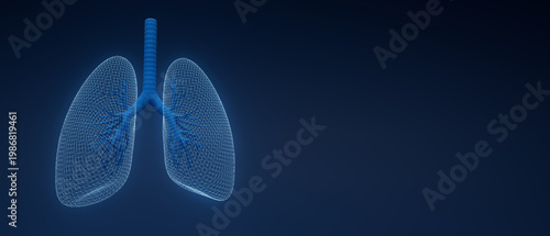 3D wireframe model of human lungs with blue outline on dark background showcasing anatomical structure and design concepts