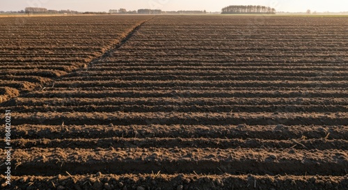 Furrowed brown field stretching to horizon with trees under a hazy, dusky sky