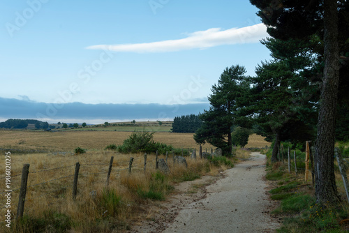 GR65 pilgrim trail crossing the Aubrac plateau, yellowed grass and dramatic cloudy sky, France