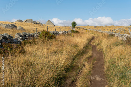 GR65 pilgrim trail crossing the Aubrac plateau, yellowed grass and dramatic cloudy sky, France