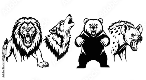Black and white bear wolf lion hyena.