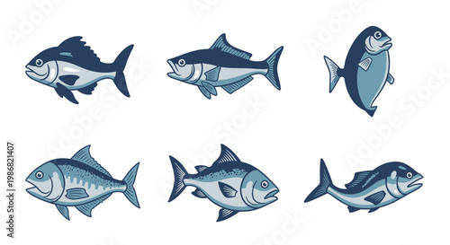 Blue Tuna Fish Marine Life.