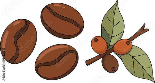 Minimal flat illustration of coffee beans and coffee cherries branch with leaves on white background clean vector style