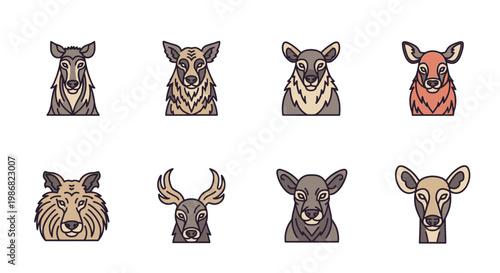 Collection of various animal heads closeup.