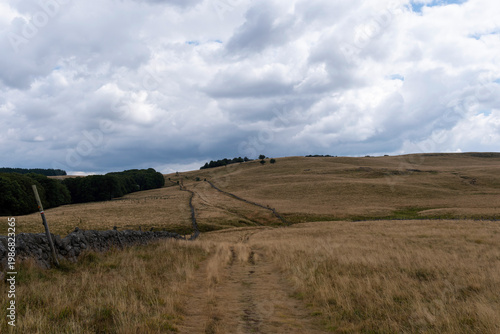 GR65 pilgrim trail crossing the Aubrac plateau, yellowed grass and dramatic cloudy sky, France