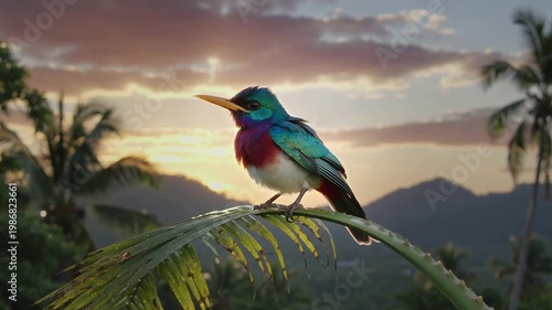Colorful bird perched on a palm leaf at sunset