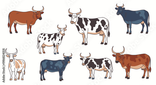 Cows and bulls in various colors.