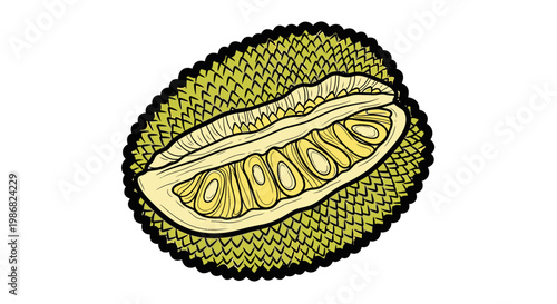 Detailed view of a kiwi fruit.