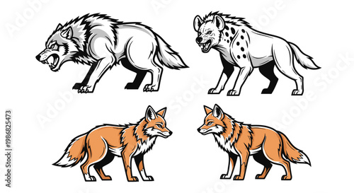 Four Wild Canine Animals Illustration.