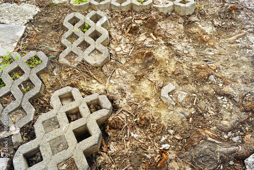Broken pavement with exposed tree roots and displaced concrete grid tiles, close-up. Presents urban infrastructure decay, surface system breakdown, and progressive entropy in neglected city structures