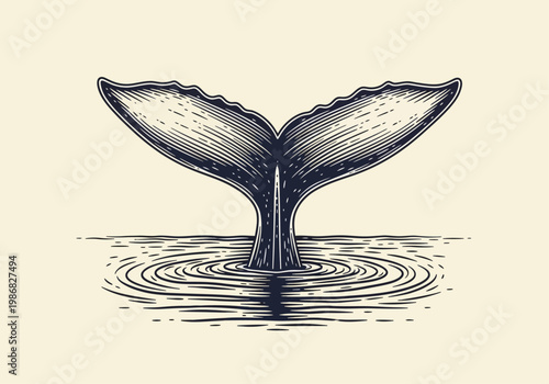Vintage Hand-Drawn Whale Tail Fluke Illustration - Engraving Style Ocean Marine Life Graphic