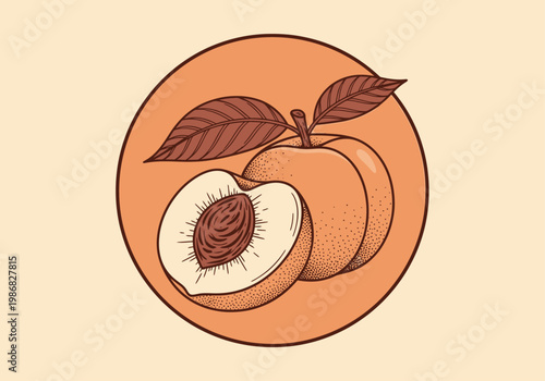 Vintage Peach Fruit Illustration in Circular Retro Badge Style with Line Art and Stippling