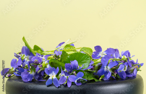 bouquet of spring violets
