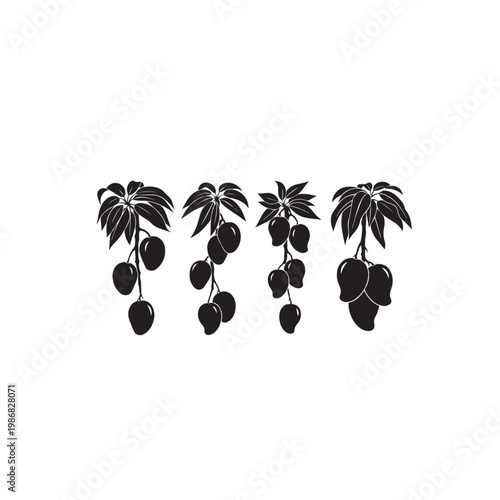 Mangoes on Tree Silhouette Vector Illustration Set, Mango Fruit Branch Black White Minimal Design, Mango Tree Silhouette Simple Vector Pack