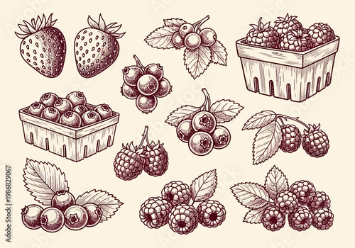Vintage Hand-Drawn Berry Collection - Engraved Illustrations of Strawberries, Raspberries, and Blueberries in Rustic Baskets