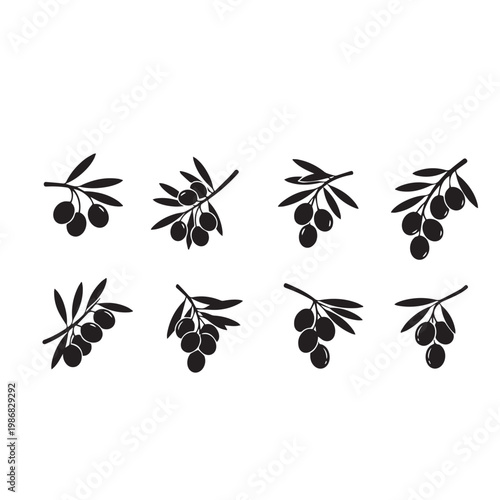 Green Olives Growing Tree Silhouette Vector Illustration, Olive Branch with Fruit Minimal Black White Design, Olive Tree Silhouette Simple Nature Vector Pack