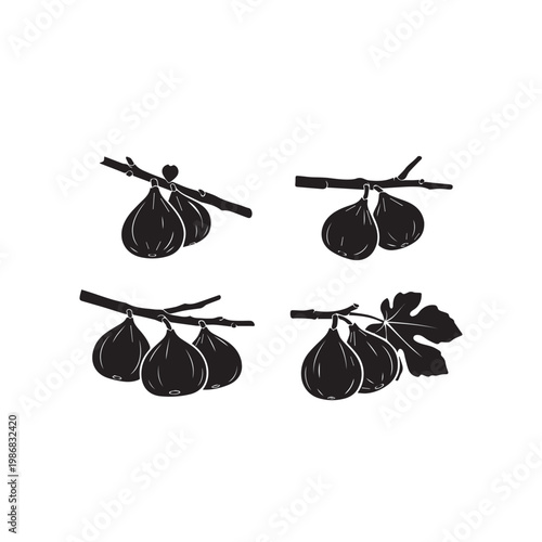 Figs on Tree Silhouette Vector Illustration Set Black White, Fig Fruit Branch Minimal Design Pack, Fig Tree Silhouette Simple Vector Bundle