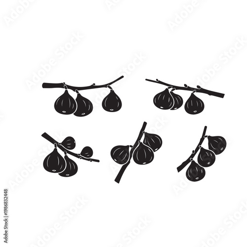 Figs on Tree Silhouette Vector Illustration Set Black White, Fig Fruit Branch Minimal Design Pack, Fig Tree Silhouette Simple Vector Bundle