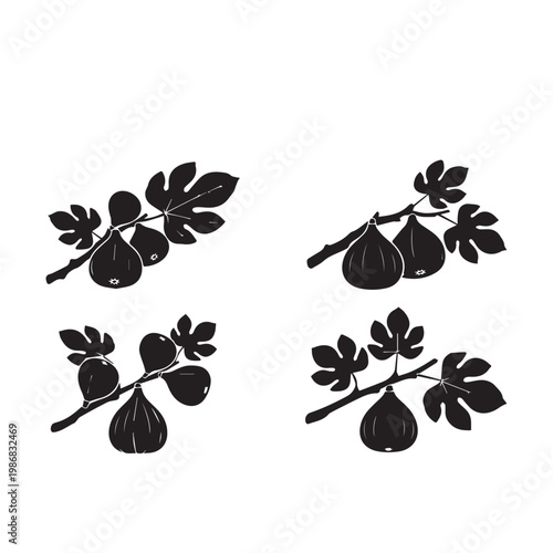Figs on Tree Silhouette Vector Illustration Set Black White, Fig Fruit Branch Minimal Design Pack, Fig Tree Silhouette Simple Vector Bundle