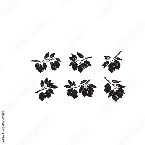 Lemons on Tree Silhouette Vector Illustration, Lemon Tree Fruit Branch Black White Design, Citrus Lemon Tree Minimal Silhouette Pack