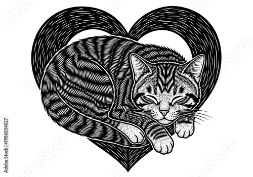 Vintage Woodcut Illustration of a Sleeping Tabby Cat Curled into a Heart Shape, Hand-Drawn Engraving Style Feline Graphic for Valentine's Day and Pet Lovers