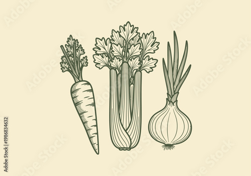 Vintage Style Mirepoix Vegetable Line Art Illustration Featuring Carrot, Celery, and Onion for Culinary and Organic Food Design