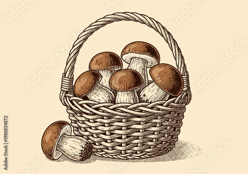 Vintage Engraving Illustration of a Wicker Basket Filled with Porcini Mushrooms for Foraging and Cooking Themes