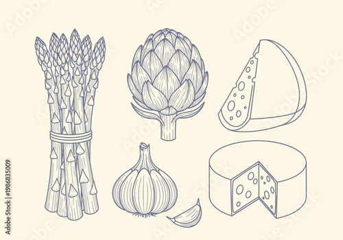 Hand Drawn Line Art Food Illustration Set with Asparagus, Artichoke, Garlic and Cheese