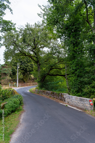 Country road through woodland with an ancient stone wall along the roadside, Aveyron, France