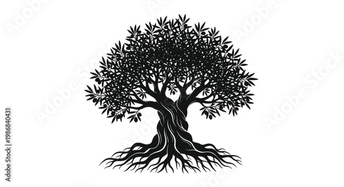 Elegant black silhouette of an ancient olive tree featuring gnarled trunk and intricate branches with leaves and small fruits.