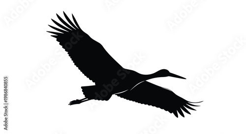 Majestic silhouette of a large stork or crane bird flying gracefully with its broad wings spread wide against a white space.