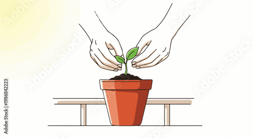 Gentle hands nurture a small green sprout in a terracotta pot on a shelf