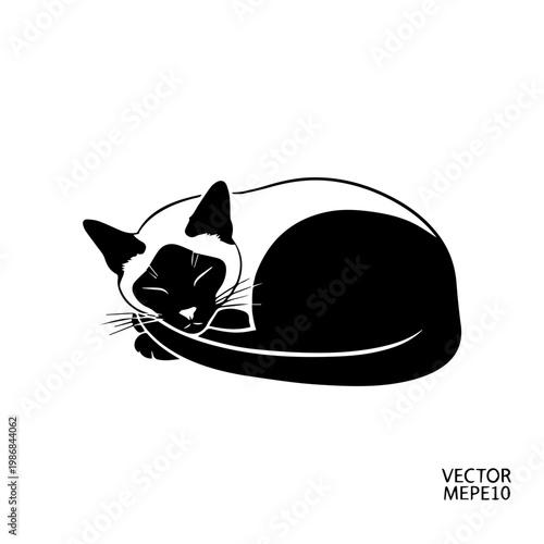 A black and white cat curled up sleeping